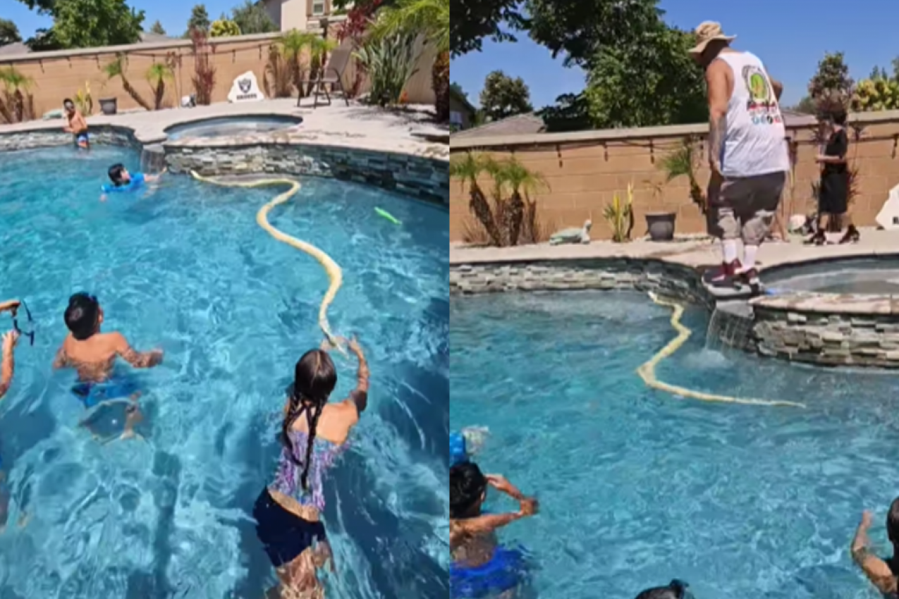 PITON UPAO  U BAZEN MEĐU DECU: Ljudi ostali zaleđeni u mestu kada su saznali šta se stvarno krije iza toga (VIDEO)