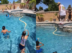 PITON UPAO  U BAZEN MEĐU DECU: Ljudi ostali zaleđeni u mestu kada su saznali šta se stvarno krije iza toga (VIDEO)