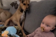 OVO JE DEFINICIJA LJUBAVI: Beba i pas rade ovo dok gledaju film, rastopili srca - ništa slađe nismo videli (VIDEO)