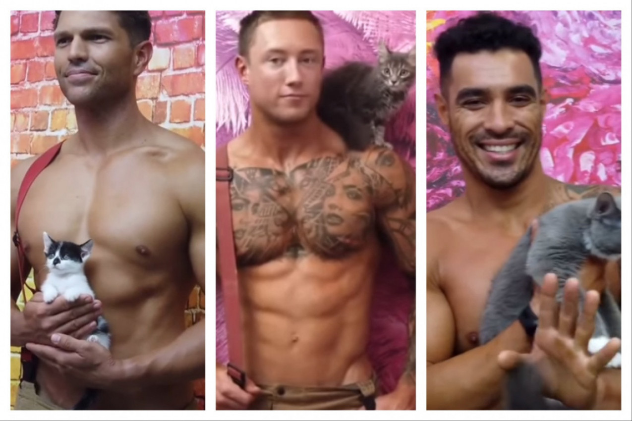 VRELI VATROGASCI SU SE PONOVO SKINULI: Ovoga puta nose mačiće za udomljavanje, ali žene bi pre udomile njih! (VIDEO)