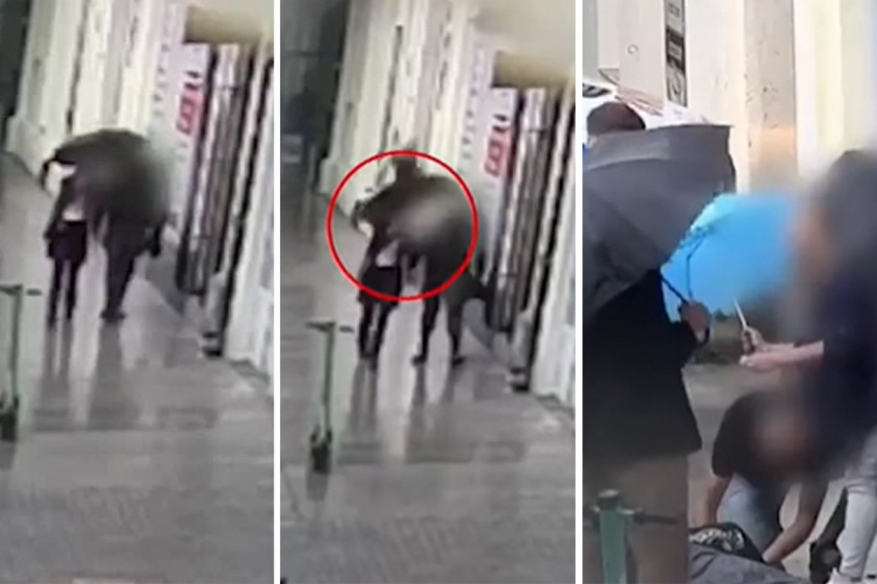 HODALA JE ULICOM KAD JE JOJ JE PAS PAO NA GLAVU: Ostala je nepomična na trotoaru, a evo šta čeka vlasnika! (VIDEO)