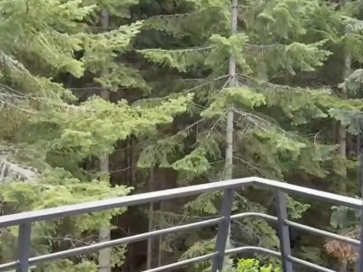 Ovako izgleda terasa Nemanje i Mine