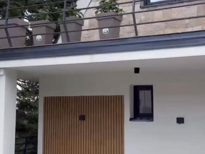 Kuća Nemanje i Mine na Zlataru