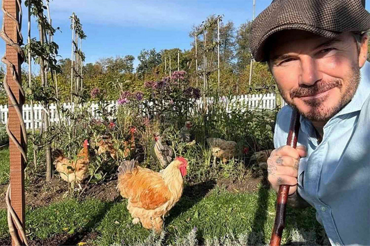 Dejvid Bekam ovako provodi vikend, a vi?