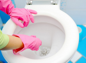 ZABORAVITE SIRĆE I SODU BIKARBONU, SAMO JEDNA STVAR 100 ODSTO SKIDA KAMENAC IZ WC ŠOLJE: Ispratite sledeće korake