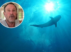 KIT JE OTVORIO USTA - ronilac je uleteo direktno u njh: U mrklom mraku usledila je borba za život - evo gde se sada mučeni čovek nalazi! (FOTO/VIDEO)