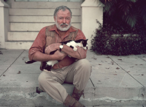 Ne znam formulu za uspeh, ali znam formulu za neuspeh – to je pokušaj da ugodiš svima