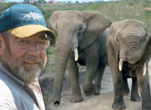 UMRO JE, PA SU NA NJEGOVOM IMANJU POČELI DA SE OKUPLJAJU SLONOVI: Neki su pešačili i po 12 sati, a onda je otkrivena ISTINA! (VIDEO)