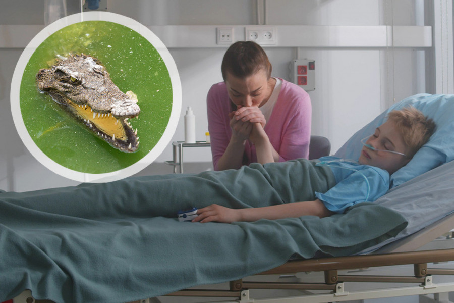 OTAC JE MIRNO PECAO KADA SE PROLOMIO JEZIV KRIK SINA: Iz vode je izronila zver i ZGRABILA dete pred očima drugog dečaka! (FOTO)