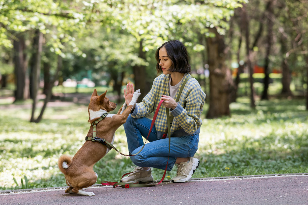 OPREZ U PARKU, VREBA OPASNA INFEKCIJA ZBOG KOJE LJUDI GUBE VID: Evo gde ima najviše ogavnih parazita