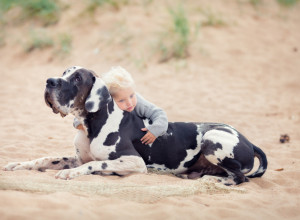 NESREĆNA DEVOJČICA JE LEŽALA NEPOKRETNA U KREVETU KAD JOJ JE PRIŠAO OGROMAN PAS: Svi su zadrhtali od STRAHA, ali ono što je uradila doga ravno je čudu! (VIDEO)