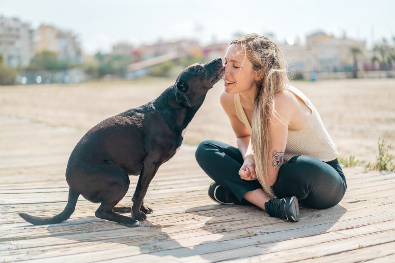 ALIGATOR OD 2 METRA JE ZGRABIO PSA, DELIĆI SEKUNDE SU GA DELILI OD SMRTI: Žena je ŠČEPALA zver za čeljusti, usledila je BORBA koja ledi krv u žilama! (VIDEO)