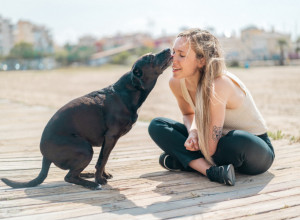 ALIGATOR OD 2 METRA JE ZGRABIO PSA, DELIĆI SEKUNDE SU GA DELILI OD SMRTI: Žena je ŠČEPALA zver za čeljusti, usledila je BORBA koja ledi krv u žilama! (VIDEO)