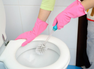 STRUČNJACI TVRDE, OVO JE JEDINI PRAVILAN NAČIN ZA PRANJE ČETKE ZA WC ŠOLJU: Jednu grešku svi prave, proverite da li i vi to radite!