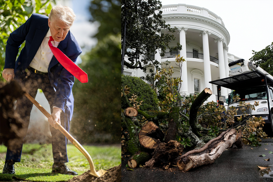 Tramp zasukao rukave - Američki predsednik je nedaleko od Bele kuće zasadio drvo magnolije nakon što se osušilo staro, koje je pre 200 godina zasadio treći lider SAD, Tomas Džeferson.