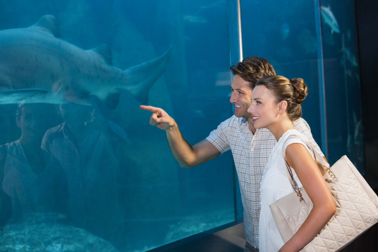 REŠIO JE DA SVOJU IZABRANICU ZAPROSI U AKVARIJUMU: Ali taman kad je pao na koleno pojavilo se stvorenje - usledio je ŠOK! (VIDEO)