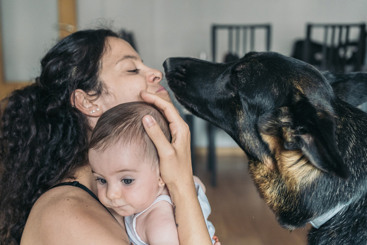 NEMAČKI OVČAR JE SVAKE VEČERI REŽAO NA BEBU, A ONDA JE ZGRABIO ZA PIDŽAMU: Majka je vrisnula, otela dete i shvatila da ne diše!