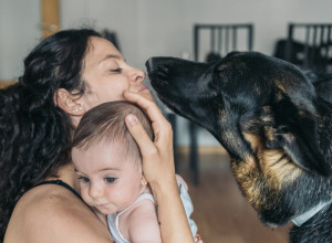 NEMAČKI OVČAR JE SVAKE VEČERI REŽAO NA BEBU, A ONDA JE ZGRABIO ZA PIDŽAMU: Majka je vrisnula, otela dete i shvatila da ne diše!