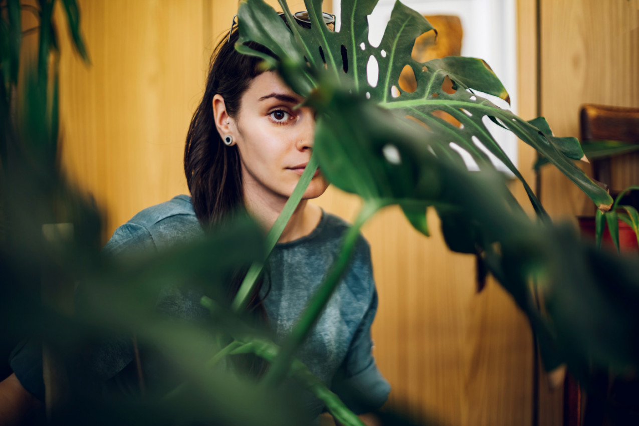 AKO U KUĆI UOČITE OVOG INSEKTA, NI SLUČAJNO GA NE UBIJAJTE: Mnogi se zalede od STRAHA kad ih vide, a ne znaju da nose važnu poruku!