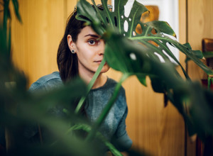 AKO U KUĆI UOČITE OVOG INSEKTA, NI SLUČAJNO GA NE UBIJAJTE: Mnogi se zalede od STRAHA kad ih vide, a ne znaju da nose važnu poruku!