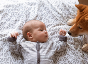 OPASAN PAS SE UŠUNJAO U SOBU BEBE OD 8 DANA: Mama je u panici uletela kod sina kad je shvatila da ne plače! (VIDEO)
