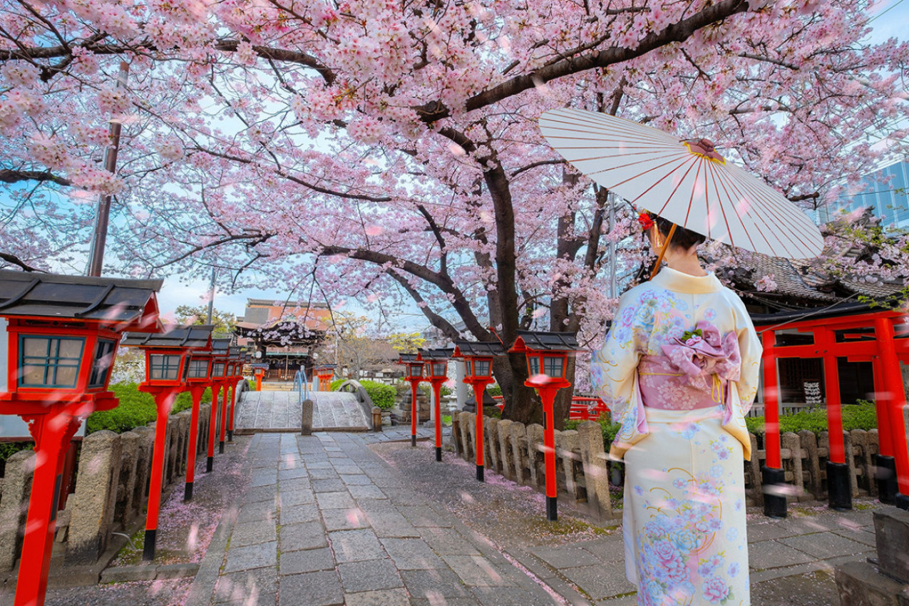 Procvetale trešnje u Japanu, ljudi pohrlili u parkove da gledaju opadanje latica