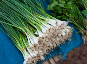 PROVEREN NAČIN KAKO DA MLADI LUK OSTANE SVEŽ I DO 2 NEDELJE! Tajna se krije u jednoj kuhinjskoj stvari!