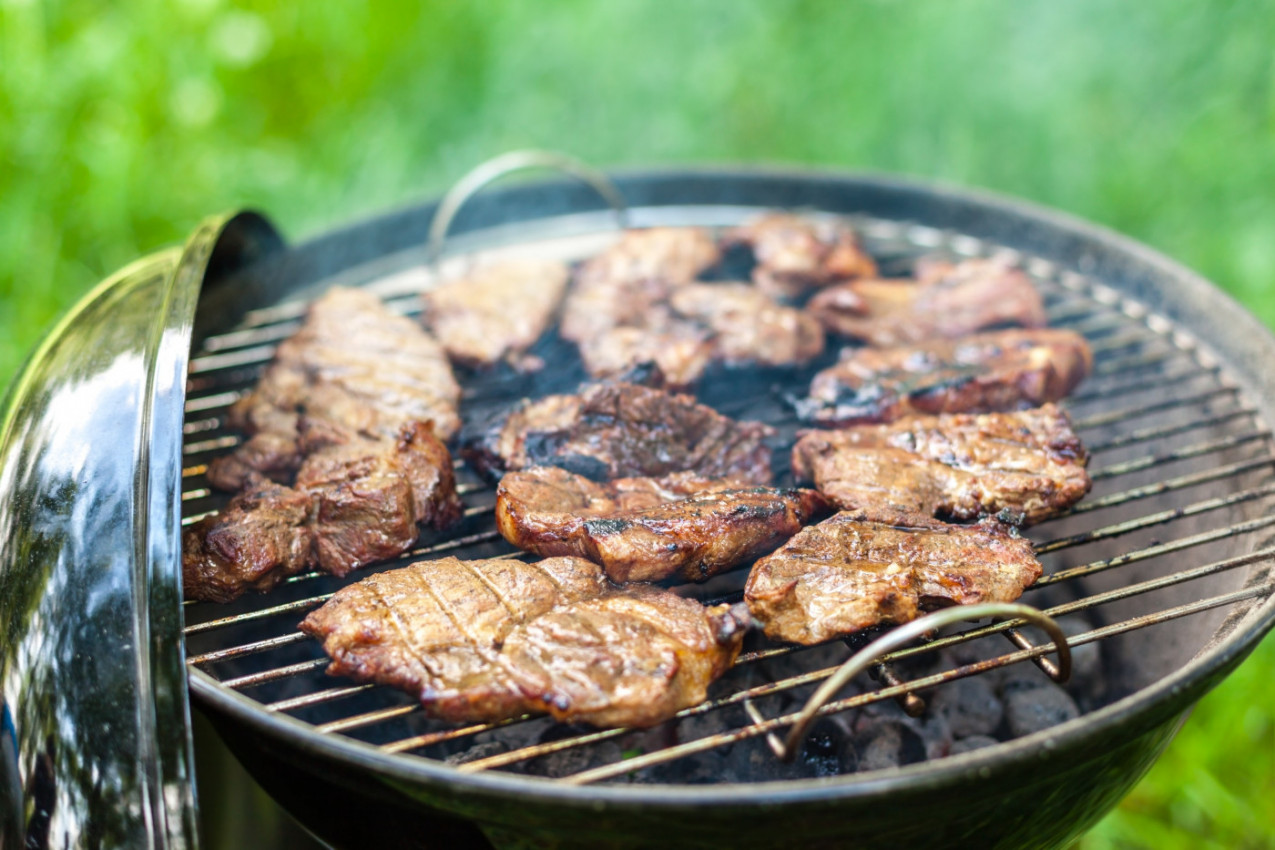 POZNATA NUTRICIONISTKINJA UPOZORAVA: JEDNU NAMIRNICU NIKAKO NE STAVLJAJTE NA ROŠTILJ - može biti pogubno! Samo ovako pripremljeno meso biće idealno za 1. maj!