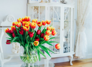 KAKO DA VAM LALE DUŽE TRAJU: Treba vam igla i voda, bićete oduševljeni ovim genijalnim trikom! (VIDEO)