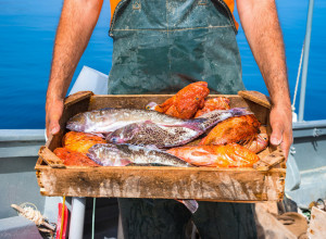JEO JE SAMO RIBU 365 DANA I TO TRIPUT DNEVNO: Kada je otišao na pregled, lekari su se zapanjili!