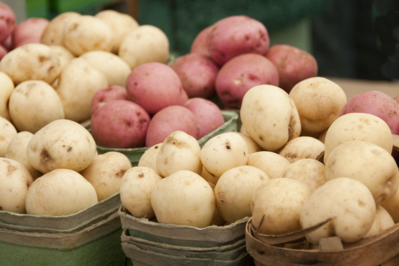 CRVENI ILI BELI KROMPIR - razlika je ogromna! Jedan je zdraviji, ima više gvožđa i bolji je izbor za trudnice