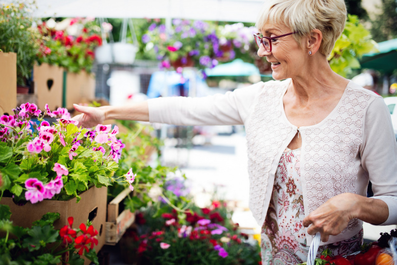 OD "MARIJINOG ZLATA" KOMARACI BEŽE KAO LUDI: Ovo cveće je simbol strasti, održava plamen među partnerima, veruje se i da privlači novac