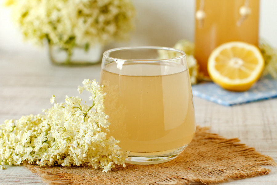 U OVU BILJKU SE KLEO I HIPOKRAT - NJEN SOK ČISTI PLUĆA - popijte samo jednu čašu i odmah ćete osetiti olakšanje! Recept zlata vredan od samo 4 sastojka!