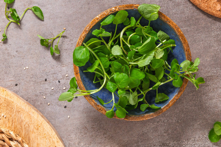 OVA BILJKA JE DRAGULJ PRIRODE, IMA GVOŽĐA VIŠE NEGO SPANAĆ: Krcata je vitaminom C, jača imunitet i celokupno zdravlje