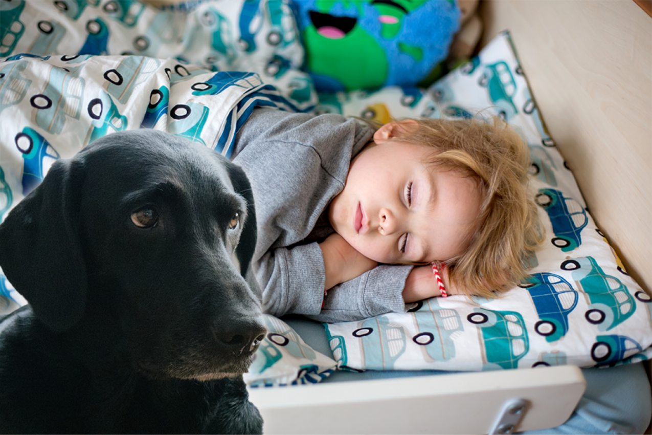 MOJ SIN LUKA JE UMIRAO PORED MENE DOK SAM SPAVALA: A onda je na krevet skočio naš pas i nastala je neopisiva drama!