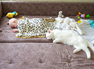 MAMA JE OSTAVILA BEBU PORED MAČKE NESLUTEĆI ŠTA JE ZAPRAVO URADILA: Reakcija ljubimca na dečaka je sve zapanjila (VIDEO)