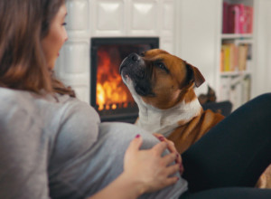 TRUDNICA JE MIRNO SPAVALA KAD JE PAS SKOČIO NA NJU: Lajao je, vukao pokrivač - drama je usledila kad je shvatila šta se dešava!