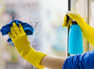 ZABORAVITE SIRĆE I SODU BIKARBONU! JEDNA STVAR KOJU SVI BACAJU DUBINSKI ČISTI STAKLO: Prozori će vam blistati kao nikada ranije!