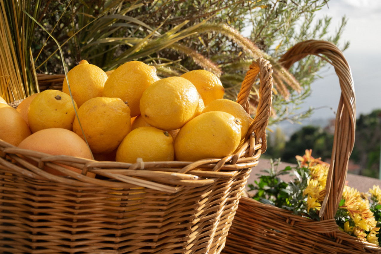 PRODUŽITE MU I DO 4 PUTA ROK TRAJANJA: Uz ovaj genijalni trik limun će biti svež nedeljama