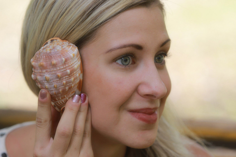 DONELA JE GOMILU ŠKOLJKI SA PLAŽE, A ONDA JE TORBA POČELA DA SE POMERA: Ljudi u neverici gledali šta je izašlo! (VIDEO)