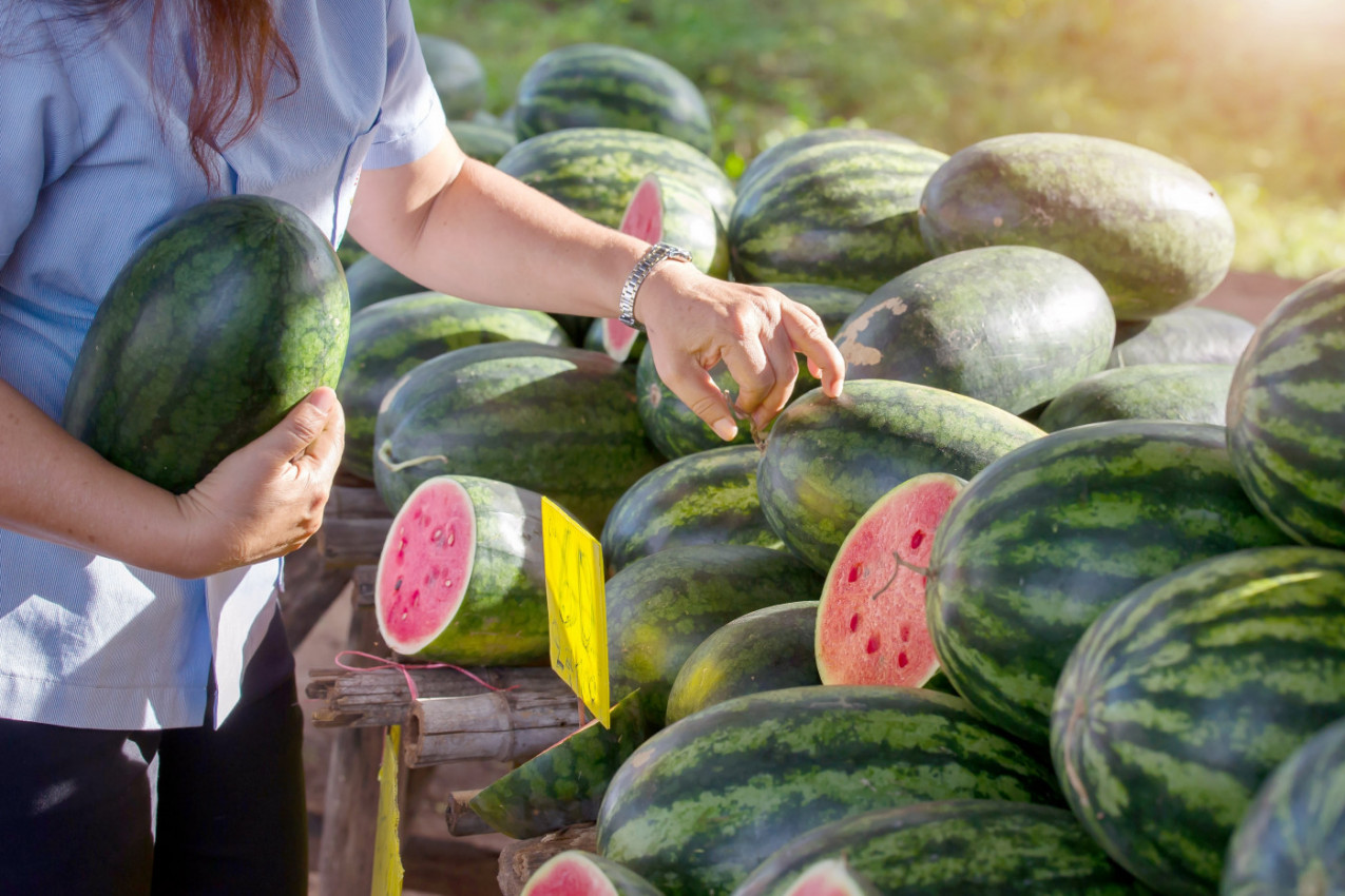 KAKO DA IZABERETE ZRELU I SOČNU LUBENICU: Sledite ovih 5 pravila i nikad nećete pogrešiti!