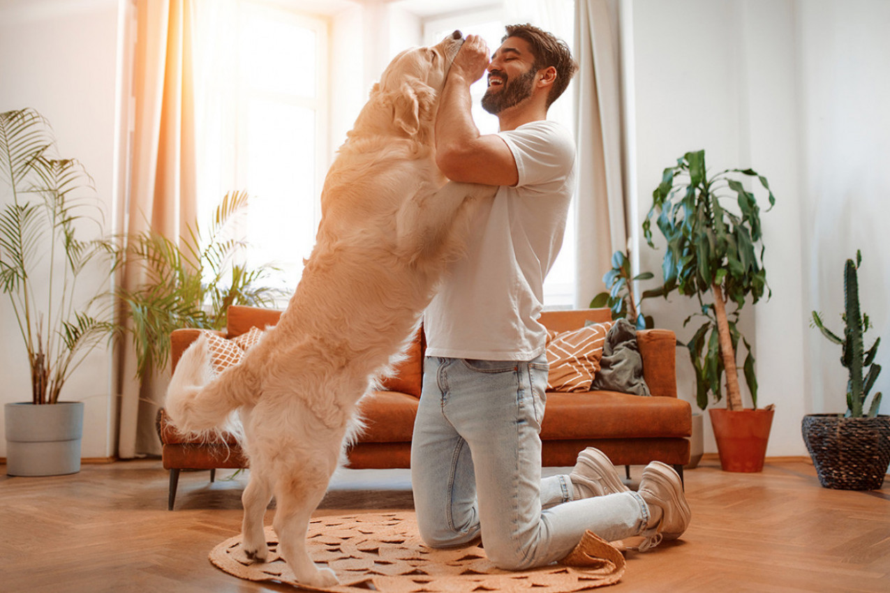 MOJA DEVOJKA JE LJUBOMORNA NA MOG PSA: Samo čekam da me natera da biram između nje i ljubimca i to zbog jednog razloga!