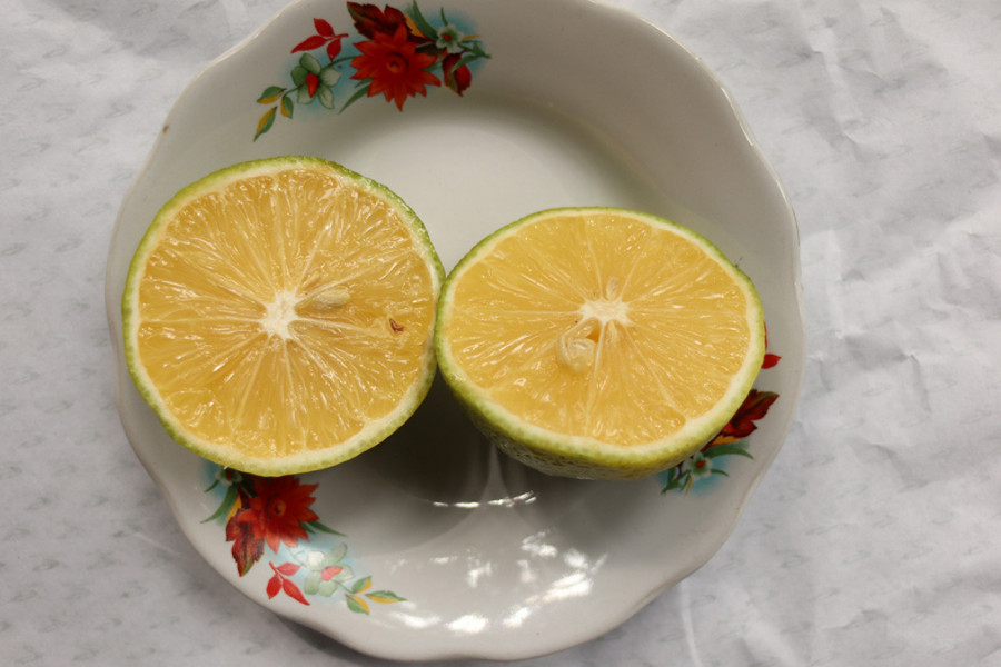 ISEČEN LIMUN STAVITE NA STOČIĆ PORED KREVETA PRED SPAVANJE: Ujutru ćete biti zapanjeni rezultatima!