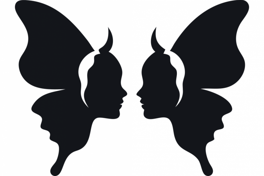 ŠTA PRVO VIDITE NA SLICI: Optička iluzija otkriva pravu stranu vaše ličnosti (FOTO)