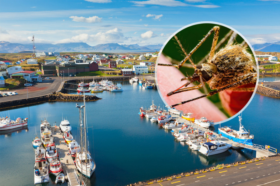 OVO JE JEDINA ZEMLJA NA SVETU U KOJOJ UOPŠTE NEMA KOMARACA: Nalazi se u Evropi i pravi je raj za sve koji beže od letećih krvopija!