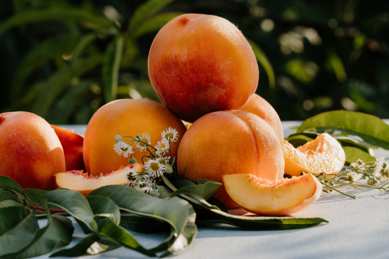 ŠTA JE ZDRAVIJE - BRESKVE ILI KAJSIJE: Odgovor krije OVAJ vitamin koji je ključan za jačanje imuniteta!