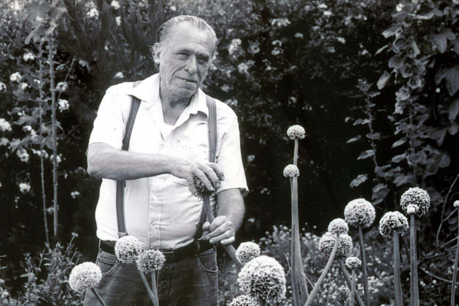 Ako hoćete nešto da uradite – idite do kraja. U suprotnom ni ne počinjite