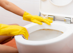 OVAJ DEO TOALET PAPIRA SVI BACAJU U ĐUBRE, A NE ZNAJU KOLIKO JE KORISTAN: Trik za besprekorno čišćenje WC šolje koji malo ko zna!