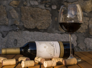 NE BACAJTE PAMPUR OD FLAŠA: 10 sjajnih načina kako vam mogu pomoći u domaćinstvu!