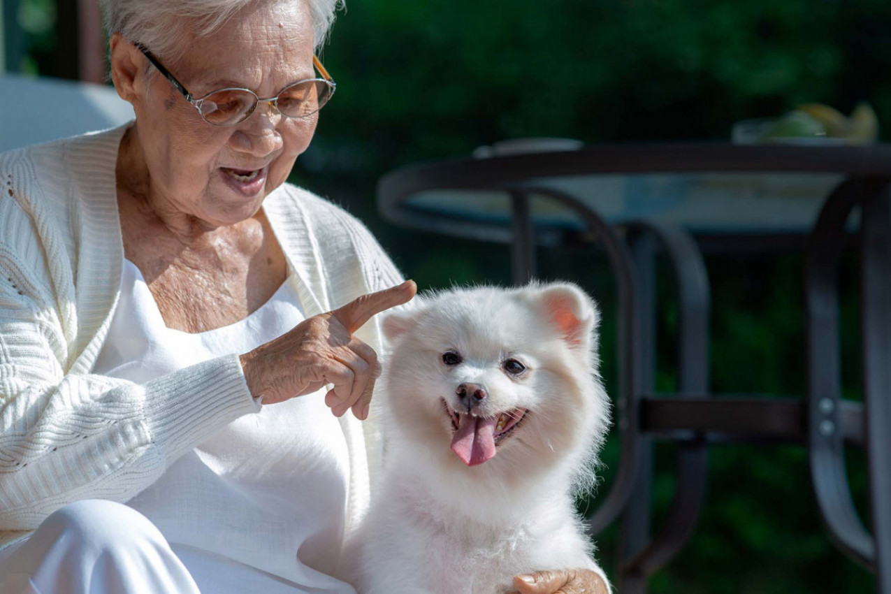 IZBACILA JE TROJE DECE IZ TESTAMENTA I 2,5 MILIONA EVRA OSTAVILA SVOJIM PSIMA I MAČKAMA: Evo zašto je skoro svi podržavaju!